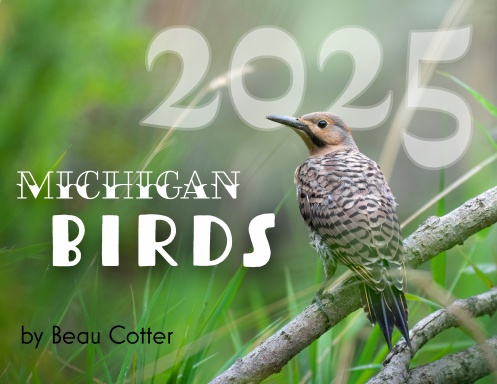 Michigan Birds 2025