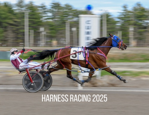 Harness Racing