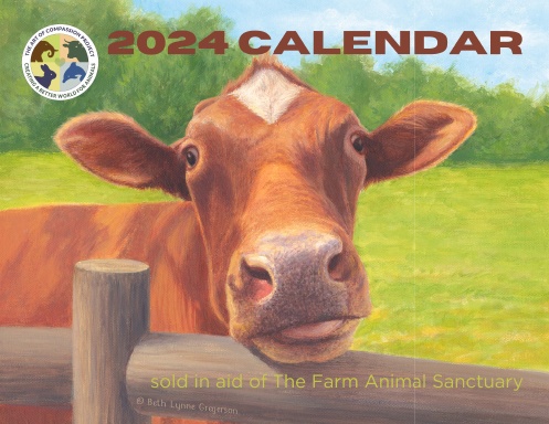 The 2024 Art of Compassion Project Calendar