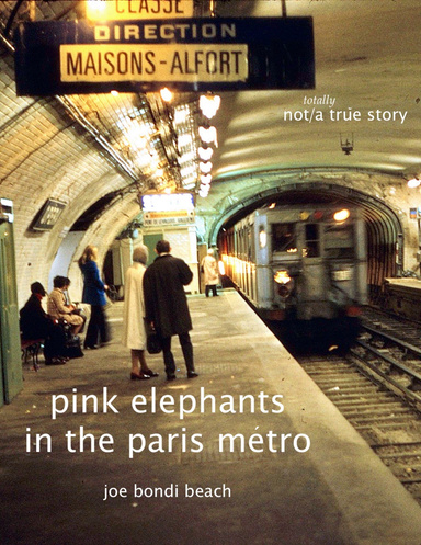 pink elephants in the paris métro