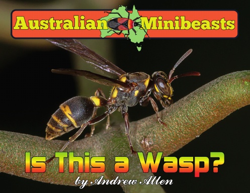 Is This a Wasp?