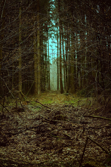 The Enchanted Legacy