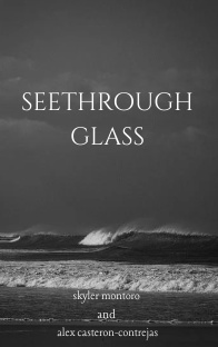 Seethrough Glass