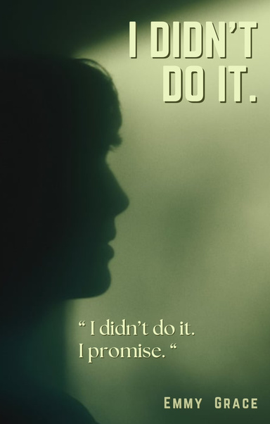 I DIDN'T DO IT.