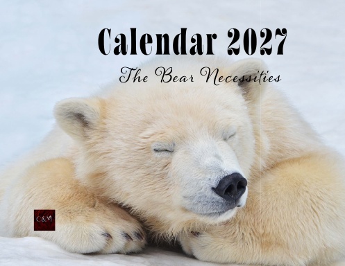 Bear Necessities