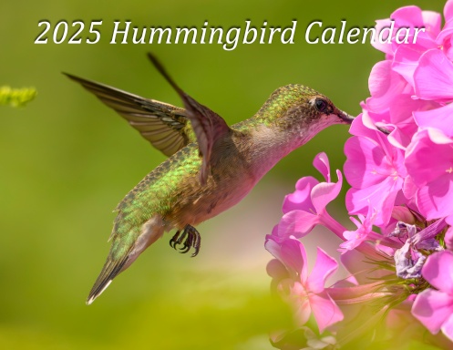 2025 Hummingbird Calendar