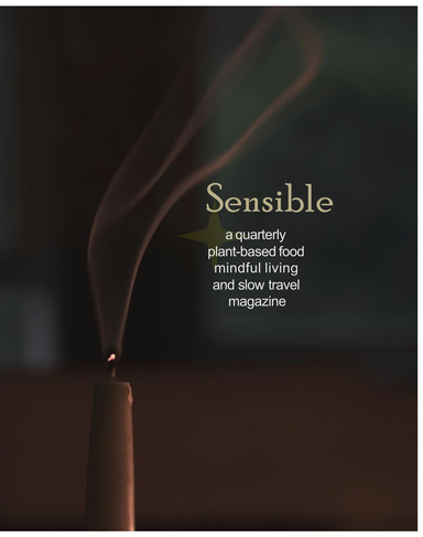 Sensible, Volume I, Autumn 2025