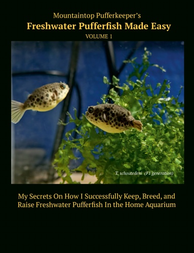Mountaintop Pufferkeeper’s  Freshwater Pufferfish Made Easy