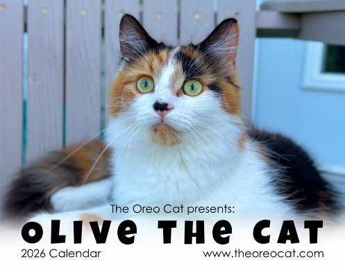 The Oreo Cat Presents: Olive The Cat 2026 Calendar