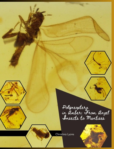 Polyneoptera in Amber: From Angel Insects to Mantises