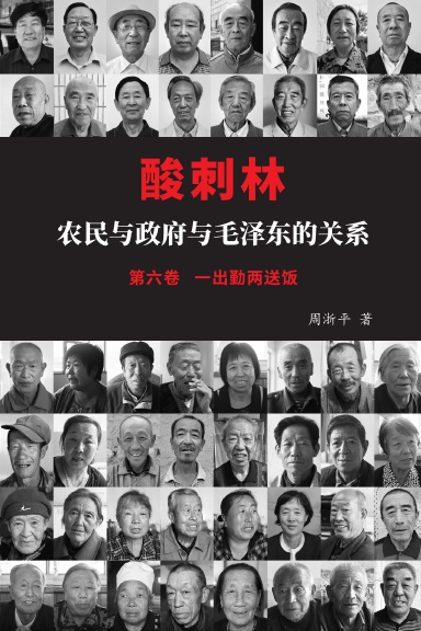 酸刺林: 农民与政府与毛泽东的关系(六卷)