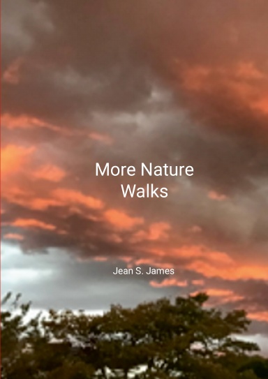 More Nature Walks