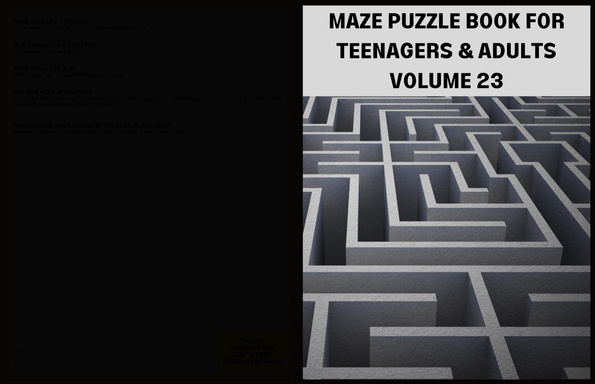 MAZE PUZZLE BOOK FOR TEENAGERS AND ADULTS  VOLUME 23