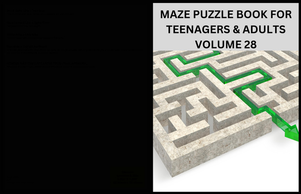 MAZE PUZZLE BOOK FOR TEENAGERS AND ADULTS VOLUME 28