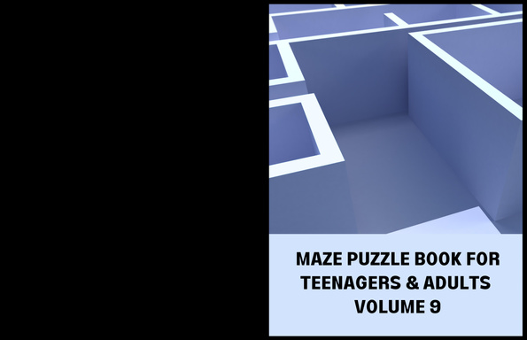MAZE PUZZLE BOOK FOR TEENAGERS & ADULTS VOLUME 9
