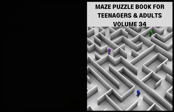 MAZE PUZZLE BOOK FOR TEENAGERS AND ADULTS  VOLUME 34
