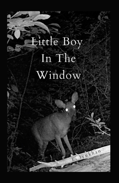 Little Boy In The Window