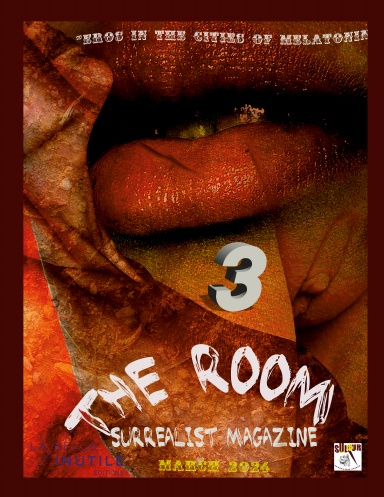 The Room Surrealist Magazine (third issue)