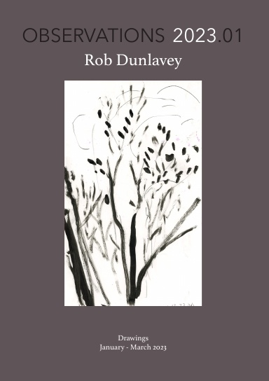 OBSERVATIONS 2023.01