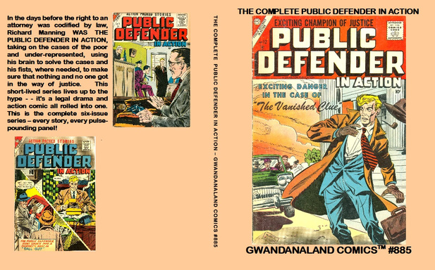 The Complete Public Defender In Action
