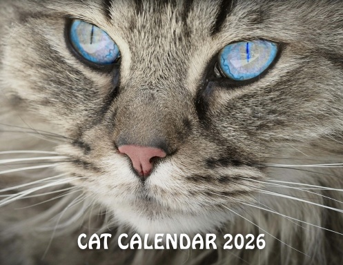 Cat Calendar 2026