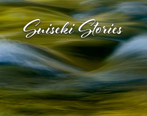 Suiseki Stories