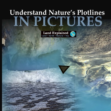 Understand Nature's Plotlines in Pictures