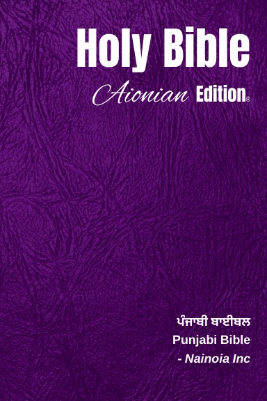 Holy Bible Aionian Edition: Punjabi Bible