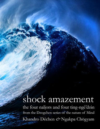Shock Amazement