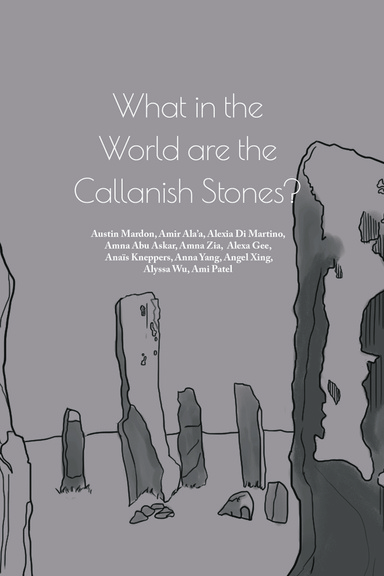 What in the World are the Callanish Stones?