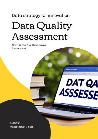 "Data Quality Assessment: