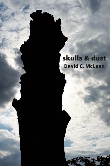skulls & dust