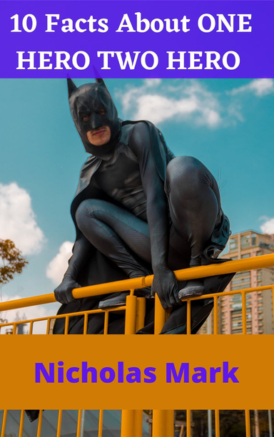 10 Facts About ONE HERO TWO HERO