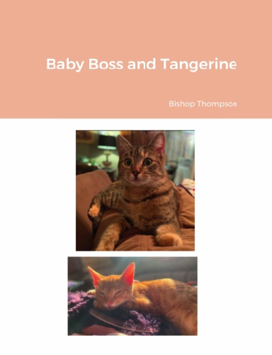 Baby Boss and Tangerine