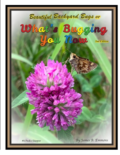 Beautiful Backyard Bugs or What's Bugging You Now (2nd Edition)