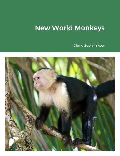 New World Monkeys