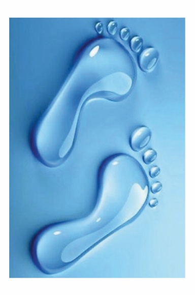 Yacht Club Address Book by Yasmine Julia Herve