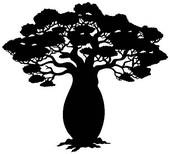 Image of Author Baobab Tree Books