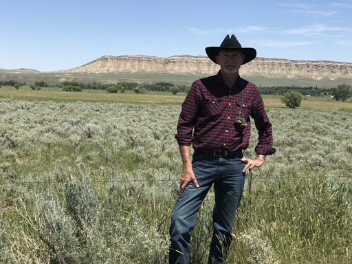 Image of Author Michael Bell