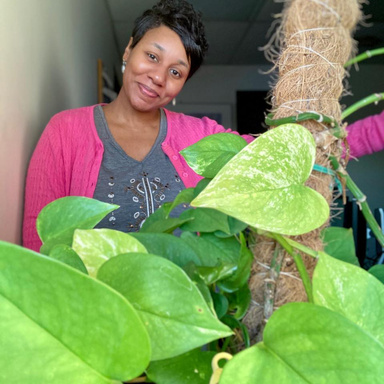 Image of Author TAMIKA LINDSEY