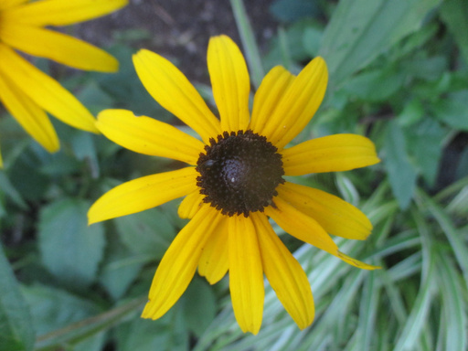 Image of Author Beth