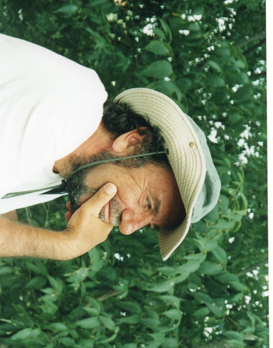 Image of Author LOPEZ bernard