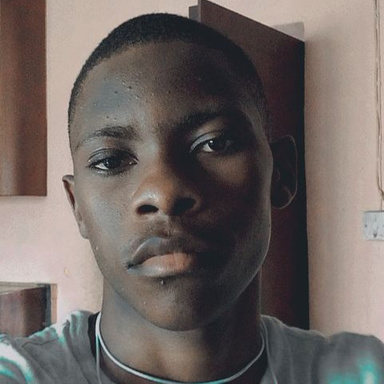 Image of Author Dotun Oyetunde