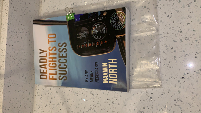 Image of Author DEADLY FLIGHTS TO SUCCESS
