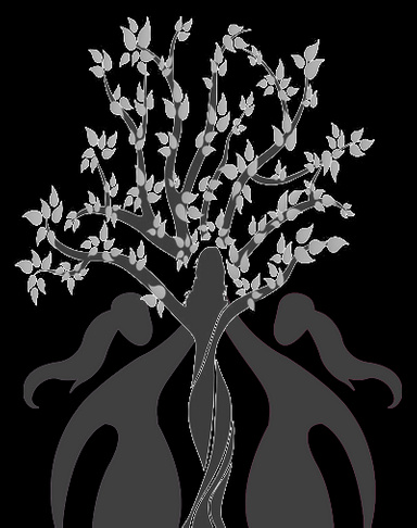 Image of Author Holistic Healing and Counseling