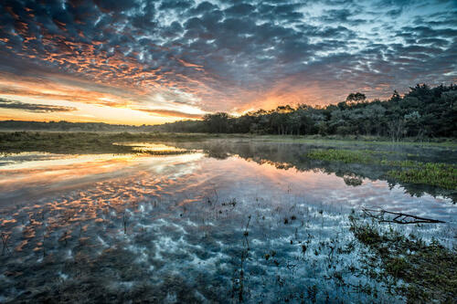 Image of Author In the Mourning