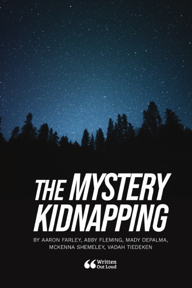 The Mystery Kidnapping