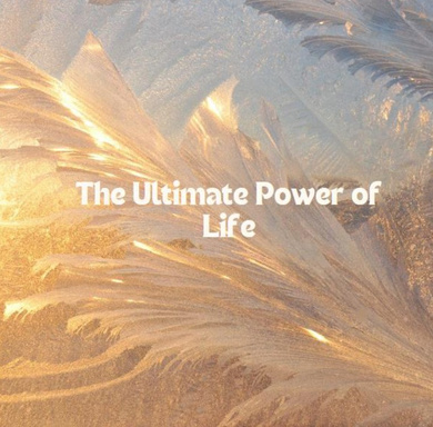 Discover the Purpose of Life