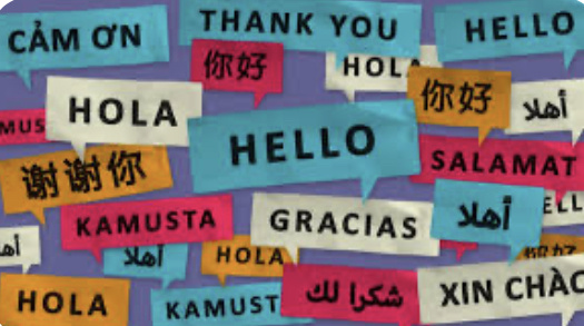 The steps to learn a new language