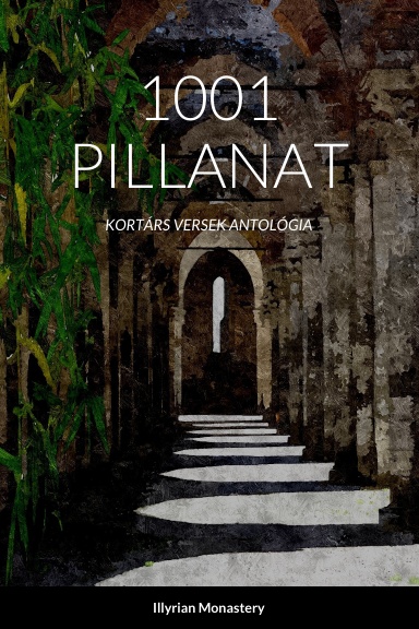 1001 PILLANAT